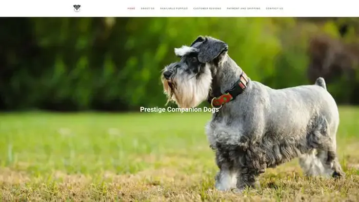 Screenshot of