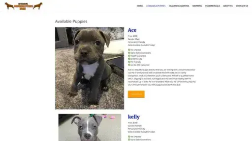 Screenshot of