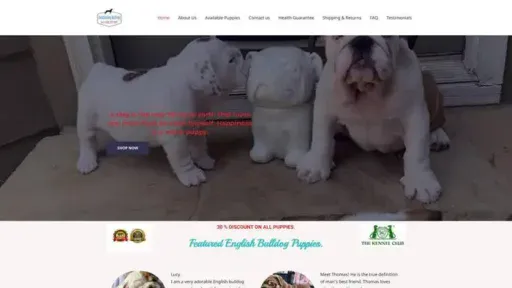 Screenshot of