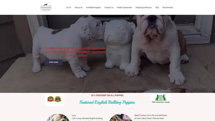Screenshot of