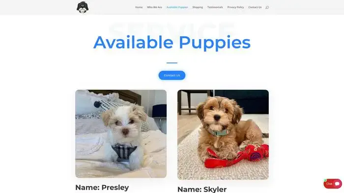 Screenshot of