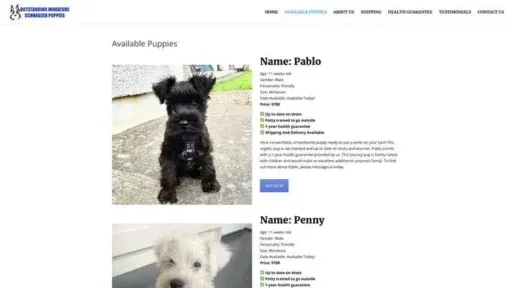 Screenshot of