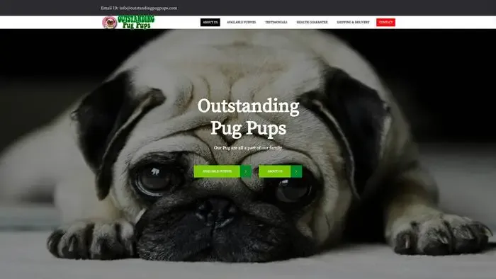 Screenshot of