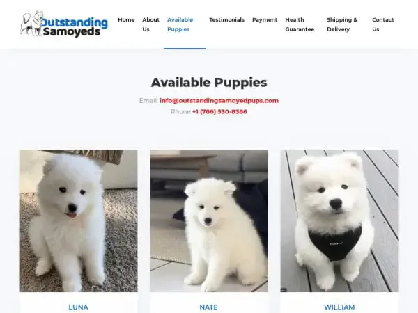 Screenshot of