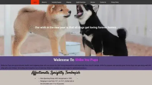 Screenshot of