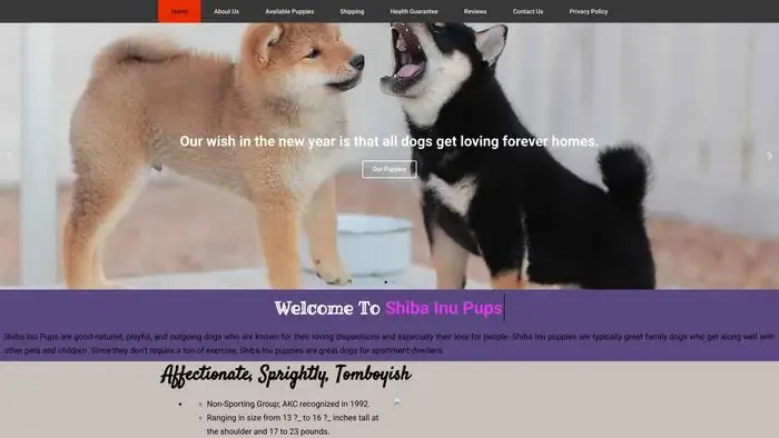 Screenshot of