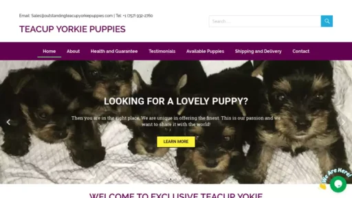 Screenshot of|
