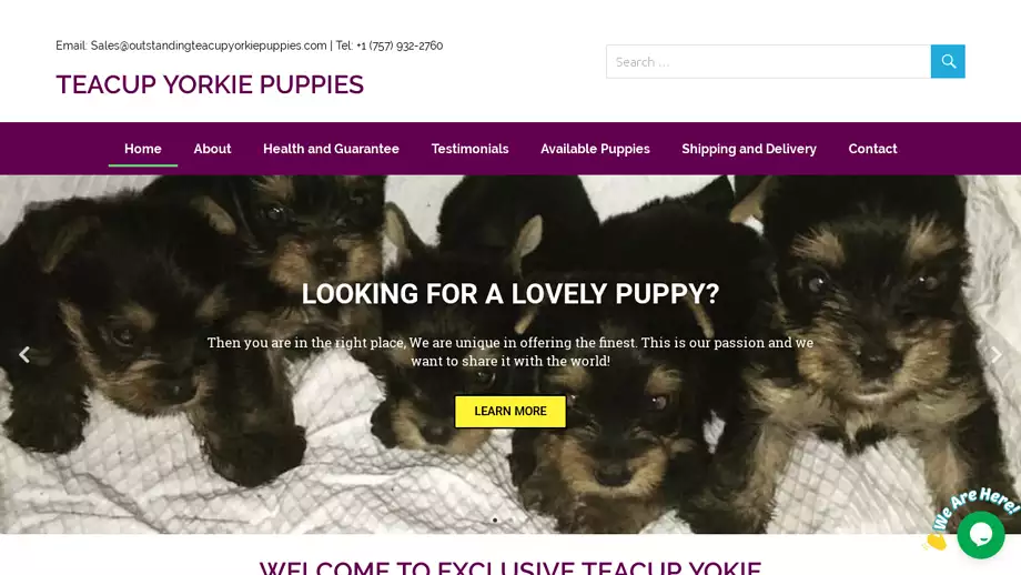 Screenshot of|