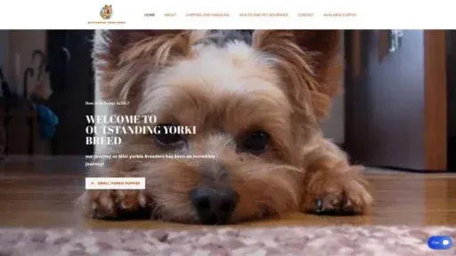 Screenshot of