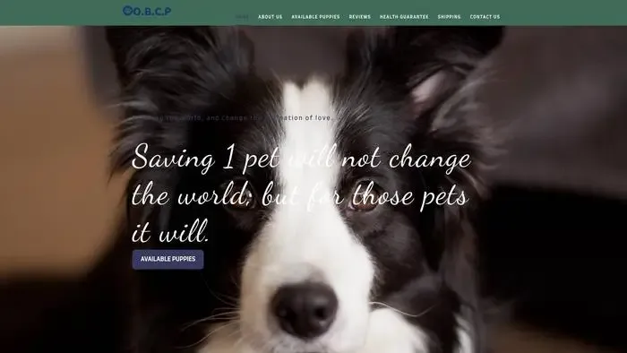 Screenshot of