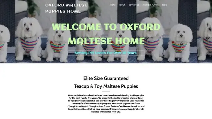 Screenshot of