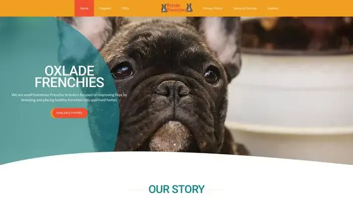 Screenshot of