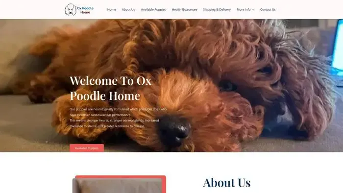 Screenshot of