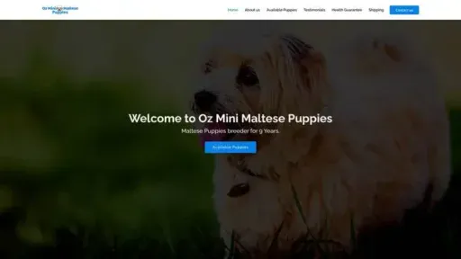 Screenshot of