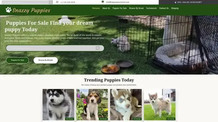 Screenshot of