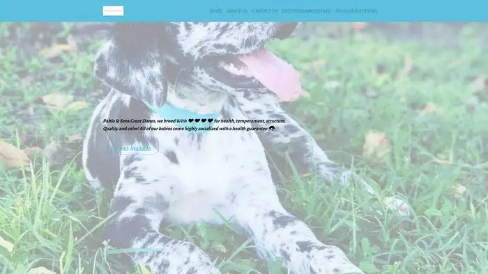 Screenshot of