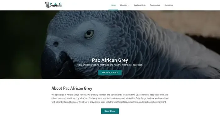 Screenshot of