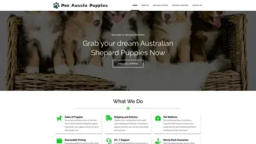 Screenshot of
