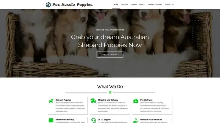 Screenshot of