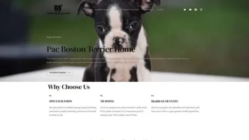 Screenshot of