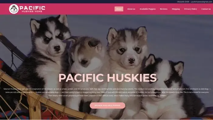 Screenshot of