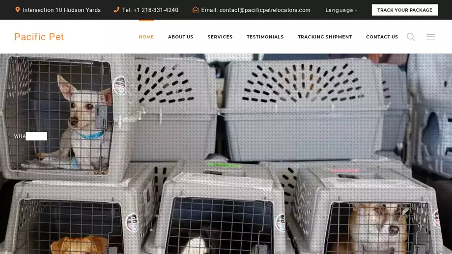 Screenshot of|