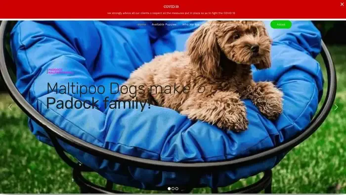Screenshot of