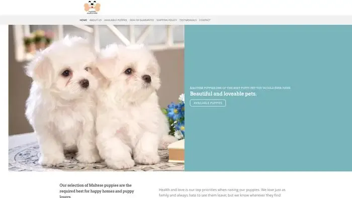 Screenshot of