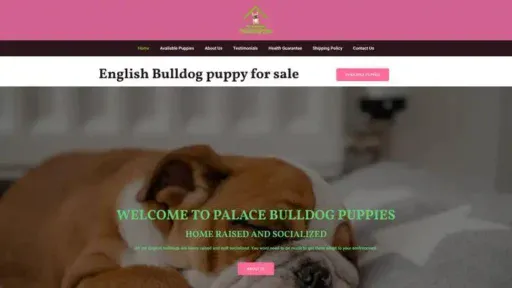 Screenshot of