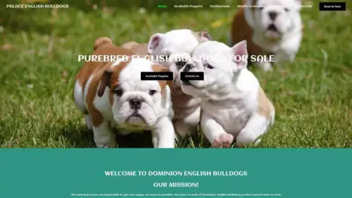 Screenshot of
