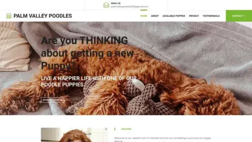 Screenshot of