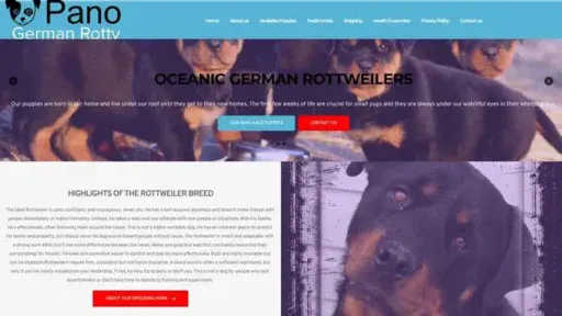 Screenshot of