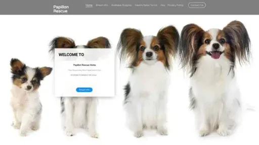 Screenshot of