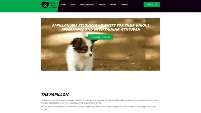 Screenshot of