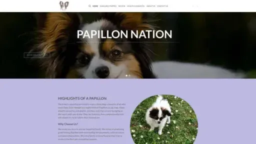 Screenshot of
