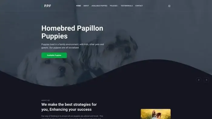 Screenshot of