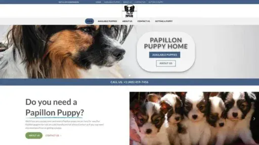 Screenshot of