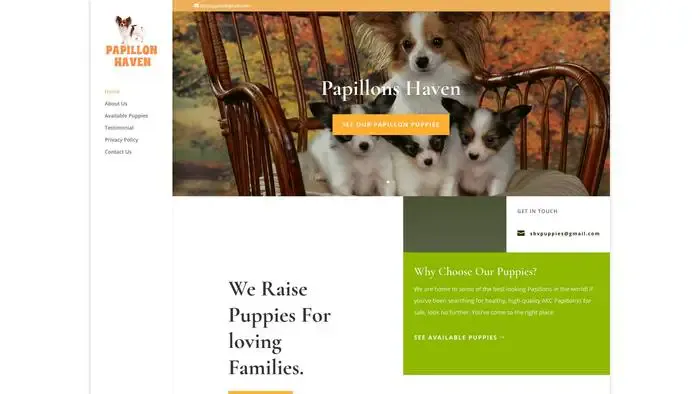 Screenshot of