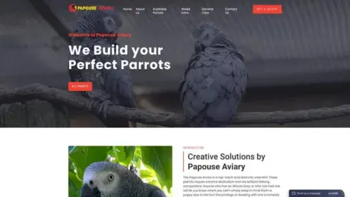 Screenshot of
