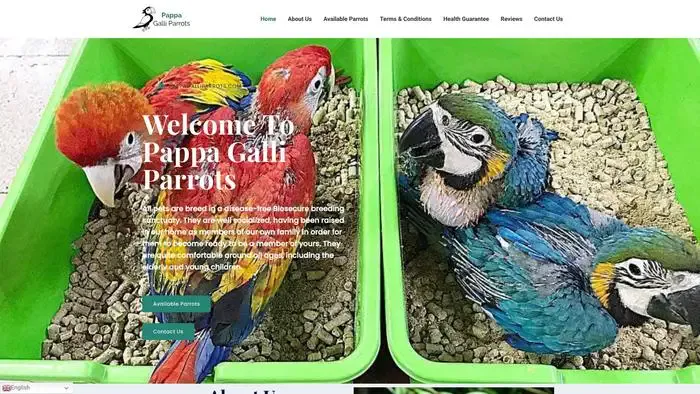 Screenshot of