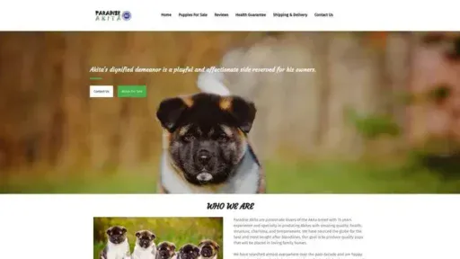 Screenshot of