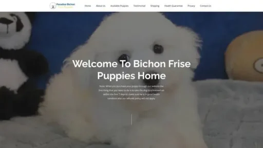 Screenshot of