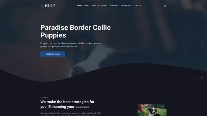 Screenshot of