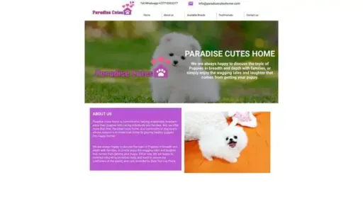 Screenshot of