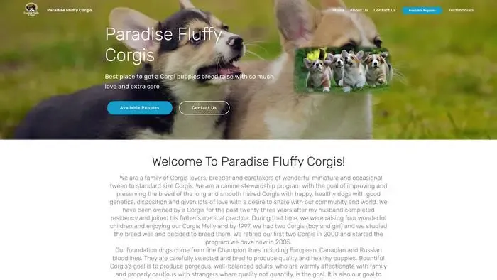 Screenshot of