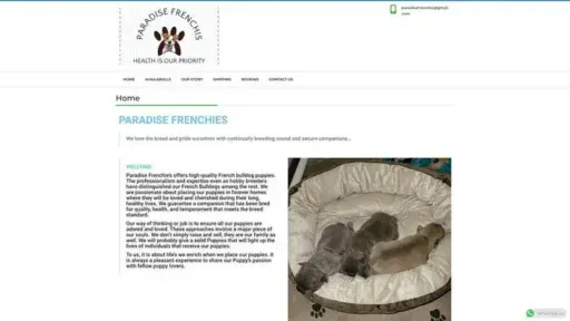 Screenshot of