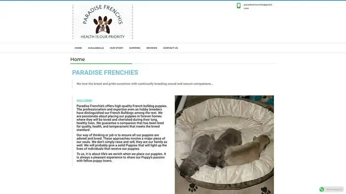 Screenshot of