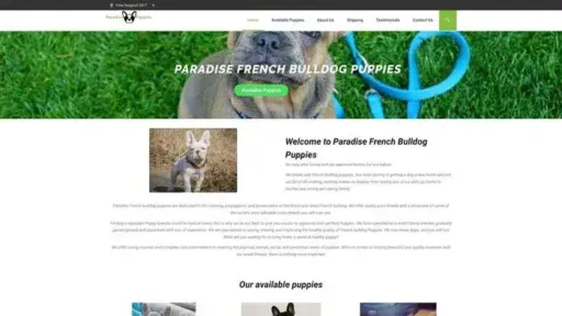 Screenshot of