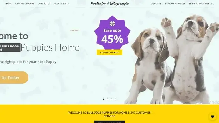 Screenshot of