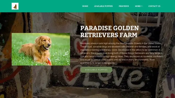 Screenshot of